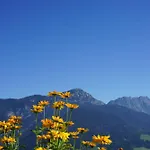 Dirtlergut 아파트