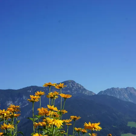 Dirtlergut Appartement