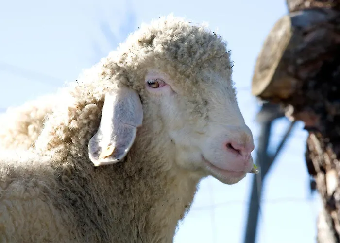 Lägenhet Dirtlergut