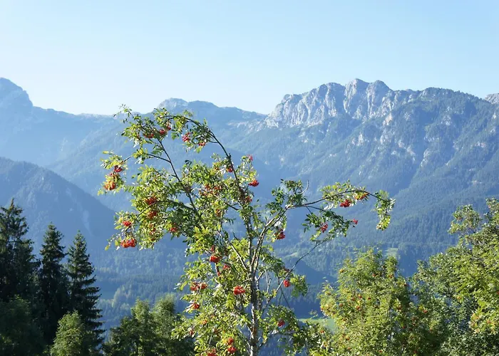 Lägenhet Dirtlergut Haus im Ennstal